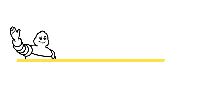 logo michelin